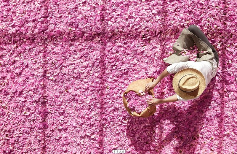 Dior in Bloom - фото 3