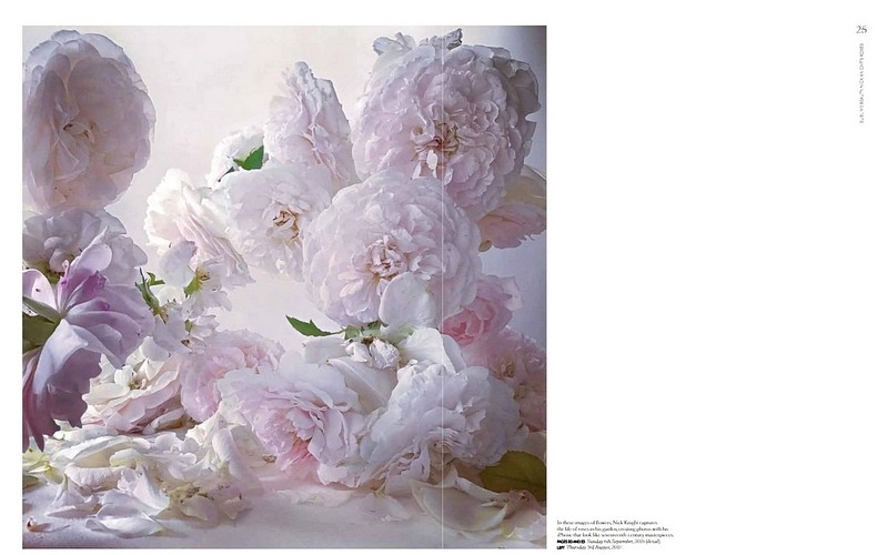 Dior in Bloom - фото 7