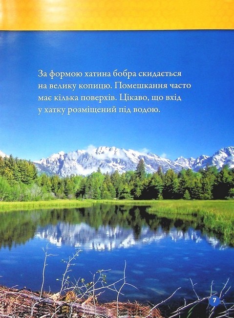 National Geographic Kids Тварини-будівники Авт: Ліббі Ромеро Вид-во: Егмонт - фото 4