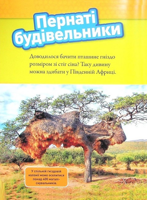 National Geographic Kids Тварини-будівники Авт: Ліббі Ромеро Вид-во: Егмонт - фото 5