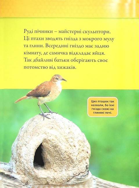 National Geographic Kids Тварини-будівники Авт: Ліббі Ромеро Вид-во: Егмонт - фото 6