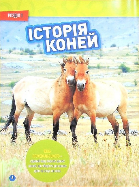 National Geographic Kids Галопом! 100 цікавих фактів про коней Авт: Кітсон Язинка Вид-во: Егмонт - фото 5