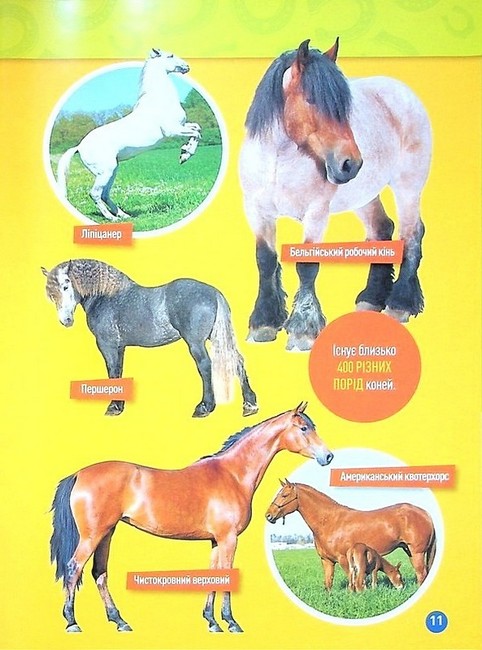 National Geographic Kids Галопом! 100 цікавих фактів про коней Авт: Кітсон Язинка Вид-во: Егмонт - фото 8