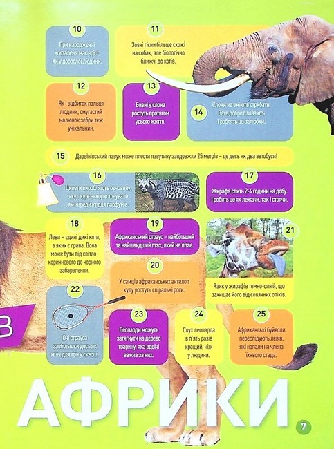 National Geographic Kids Гррр! 100 цікавих фактів про тварин Африки Авт: Стефані Воррен Дріммер Вид-во: Егмонт - фото 4