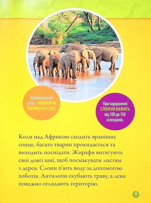National Geographic Kids Гррр! 100 цікавих фактів про тварин Африки Авт: Стефані Воррен Дріммер Вид-во: Егмонт - фото 5
