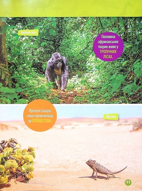 National Geographic Kids Гррр! 100 цікавих фактів про тварин Африки Авт: Стефані Воррен Дріммер Вид-во: Егмонт - фото 6