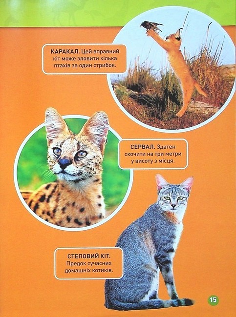 National Geographic Kids Гррр! 100 цікавих фактів про тварин Африки Авт: Стефані Воррен Дріммер Вид-во: Егмонт - фото 7
