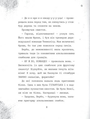 Темноліс Хай пух летить! Авт: Н. Ширін Вид-во: Читаріум - фото 6