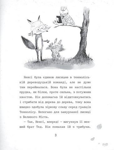 Темноліс Хай пух летить! Авт: Н. Ширін Вид-во: Читаріум - фото 7