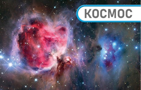 Енциклопедія про все Наш світ у малюнках Енциклопедії DK Авт: К. Брайан К. Франческа М. Сеун К. Гиффорд С. Джайлс Вид-во: Ранок - фото 5