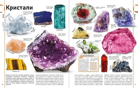 Енциклопедія про все Наш світ у малюнках Енциклопедії DK Авт: К. Брайан К. Франческа М. Сеун К. Гиффорд С. Джайлс Вид-во: Ранок - фото 9