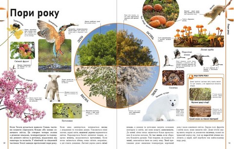 Енциклопедія про все Наш світ у малюнках Енциклопедії DK Авт: К. Брайан К. Франческа М. Сеун К. Гиффорд С. Джайлс Вид-во: Ранок - фото 10