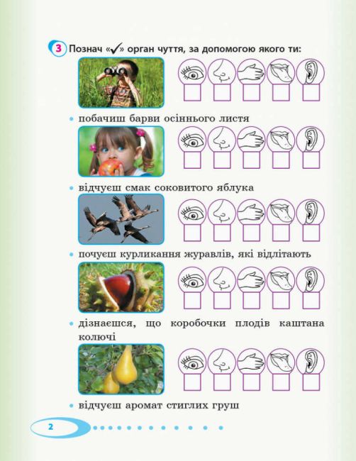 Робочий зошит Я досліджую світ Дидакта 2 клас Частина 1 НУШ До підручника Андрусенко І. та ін. Авт: Тагліна О.В. Іванова Г.Ж. Вид-во: Ранок - фото 3