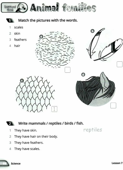 Навчальний посібник Англійська мова Quick Minds Activity Book Ukrainian edition 2 клас НУШ Авт: Пухта Г. Ґенґрос Ґ. Льюіс-Джонс П. Вид-во: Лінгвіст - фото 8