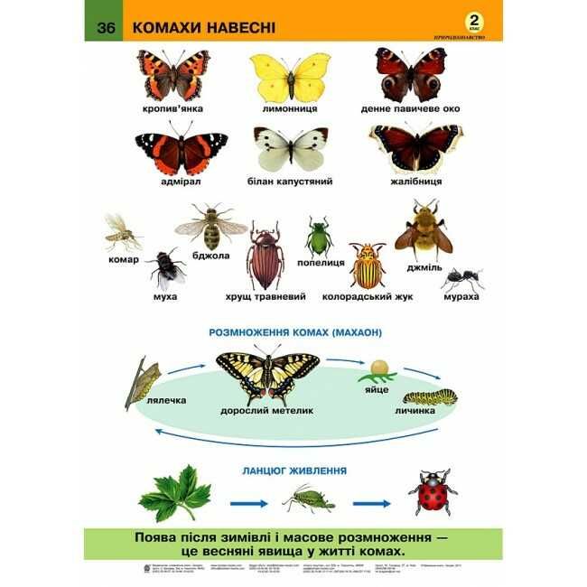 Таблиці Я досліджую світ Природознавство 2 клас НУШ Авт: Будна Н. Гладюк Т. Вид-во: Богдан - фото 4