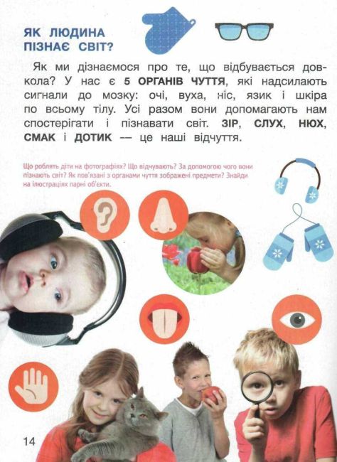 Підручник Я досліджую світ 1 клас Частина 1 НУШ Авт: Іщенко О.Л. та ін. Вид-во: Літера - фото 5
