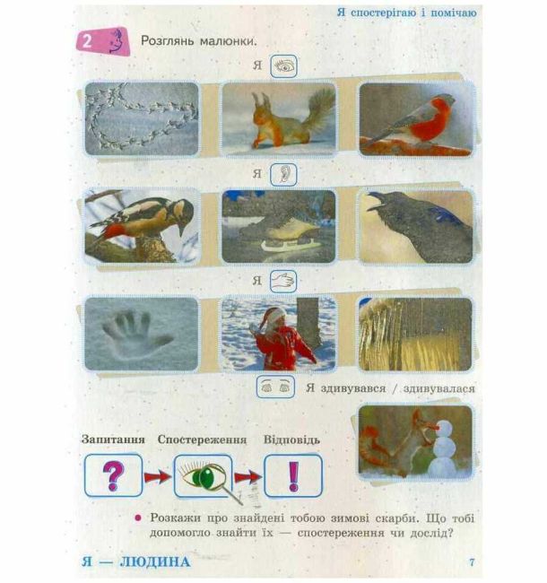 Підручник Я досліджую світ 1 клас Частина 2 НУШ Авт: Тагліна О.В. Іванова Г.Ж. Вид-во: Ранок - фото 6