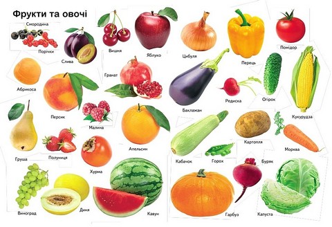 Перші знання малюка Вид-во: Пегас - фото 2