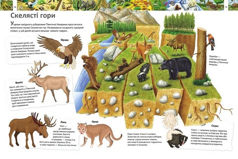 Ілюстрована енциклопедія Більше 1000 цікавих фактів Авт: Елеонора Барзотті Вид-во: Пегас - фото 8