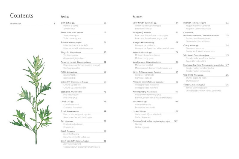 A Foragers Guide to Wild Drinks Авт: Liz Knight Вид-во: Thames and Hudson - фото 2