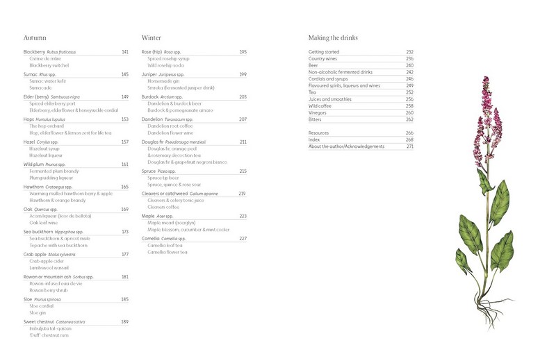 A Foragers Guide to Wild Drinks Авт: Liz Knight Вид-во: Thames and Hudson - фото 3