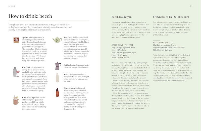 A Foragers Guide to Wild Drinks Авт: Liz Knight Вид-во: Thames and Hudson - фото 7