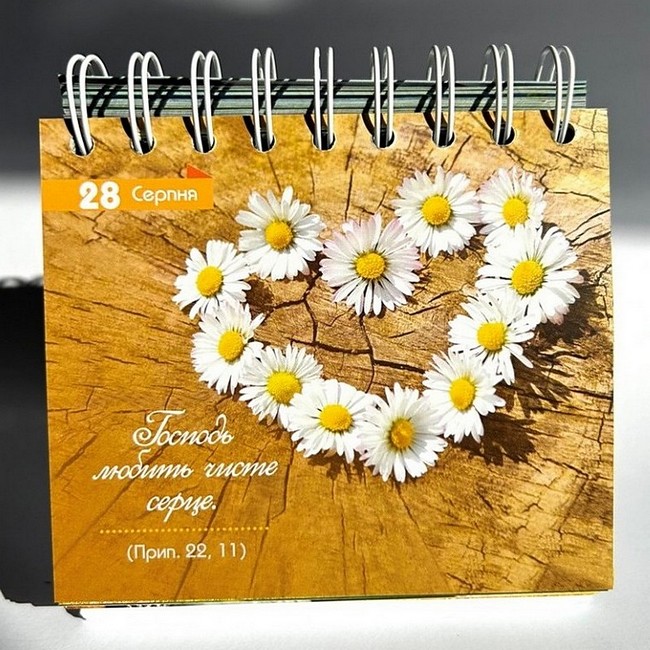 365 днів зростання у вірі Вид-во: Свічадо - фото 6