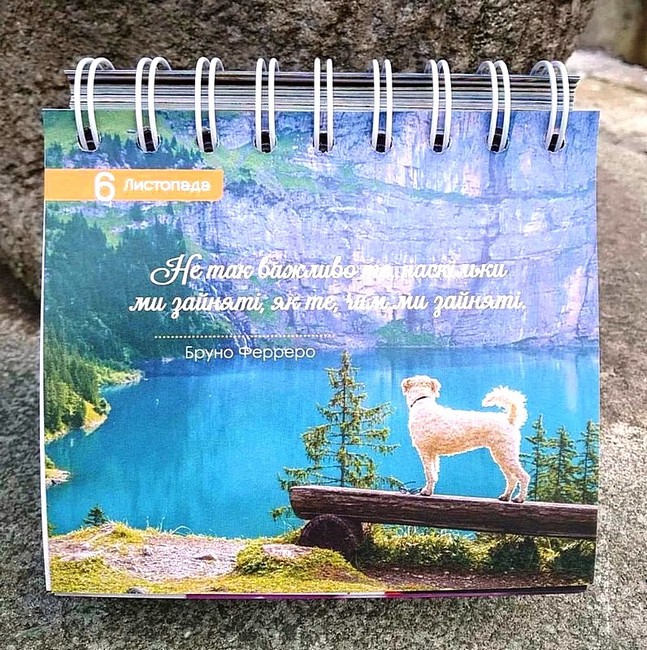 365 моментів щастя на щодень Вид-во: Свічадо - фото 4