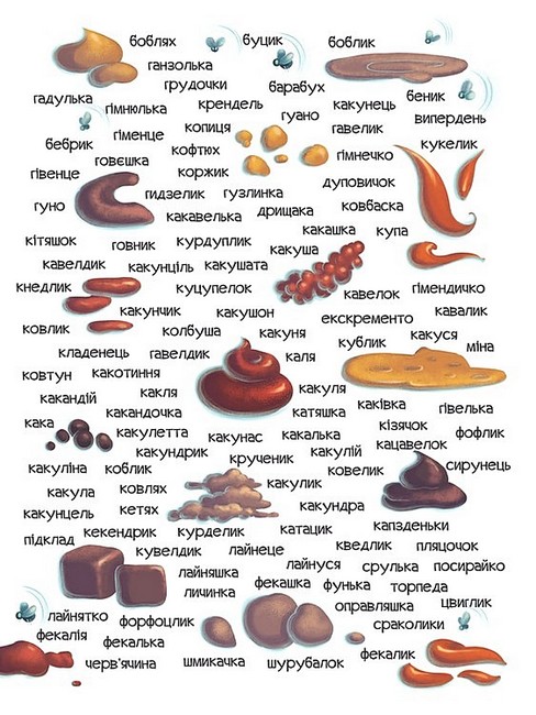 Що в кінці: куди зникають какунці? - фото 5