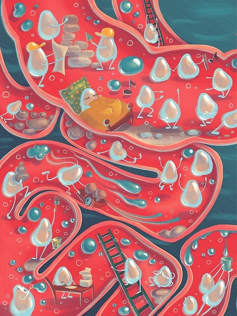 Що в кінці: куди зникають какунці? - фото 10