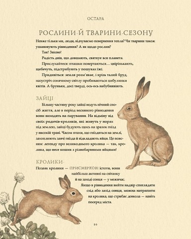 Колесо року Ілюстрований путівник ритмами природи Авт: Фіона Кук Джессіка Ру Вид-во: ArtHuss - фото 7