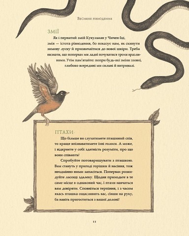 Колесо року Ілюстрований путівник ритмами природи Авт: Фіона Кук Джессіка Ру Вид-во: ArtHuss - фото 8