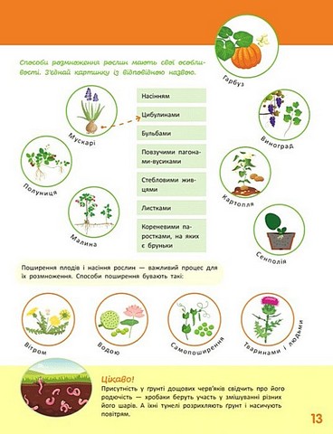 Школа Кенгуру Пізнаємо світ III крок Авт: Яна Кісильова Вид-во: Кенгуру - фото 3