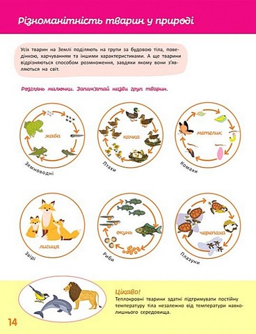 Школа Кенгуру Пізнаємо світ III крок Авт: Яна Кісильова Вид-во: Кенгуру - фото 4