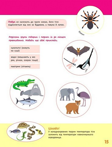 Школа Кенгуру Пізнаємо світ III крок Авт: Яна Кісильова Вид-во: Кенгуру - фото 5
