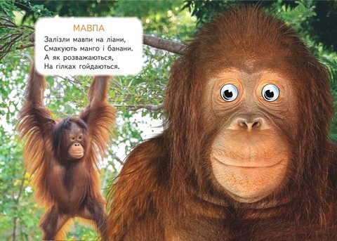 Дикі тварини Вид-во: Пегас - фото 2