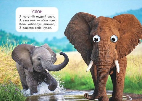 Дикі тварини Вид-во: Пегас - фото 5