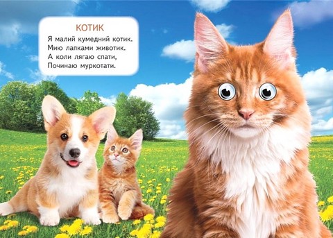 Хатні улюбленці Вид-во: Пегас - фото 2