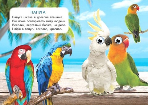 Хатні улюбленці Вид-во: Пегас - фото 3