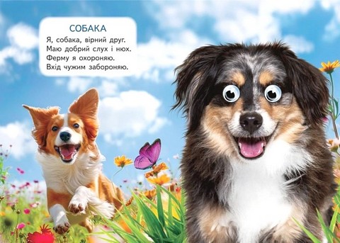 Хатні улюбленці Вид-во: Пегас - фото 4