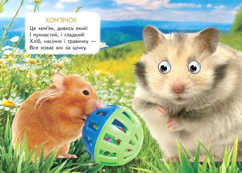 Хатні улюбленці Вид-во: Пегас - фото 5