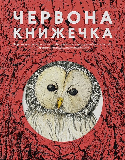 Червона книжечка Авт: Ганна Копилова Вид-во: Основи - фото 1