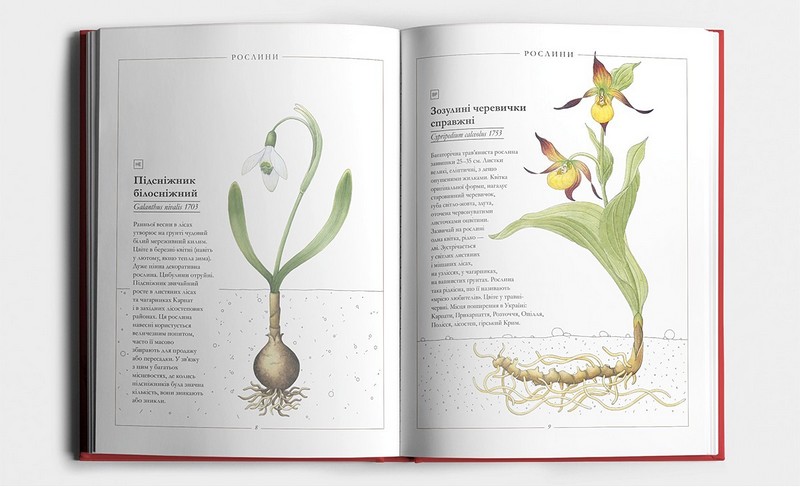 Червона книжечка Авт: Ганна Копилова Вид-во: Основи - фото 3