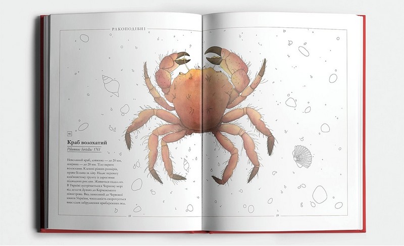 Червона книжечка Авт: Ганна Копилова Вид-во: Основи - фото 4