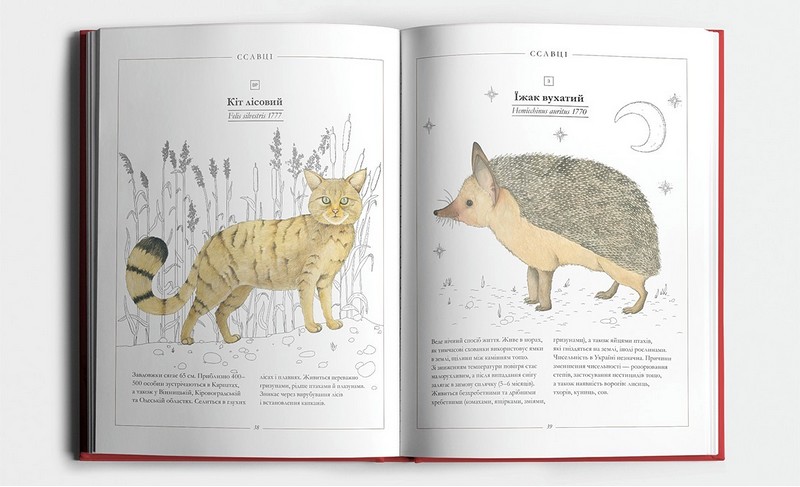 Червона книжечка Авт: Ганна Копилова Вид-во: Основи - фото 5