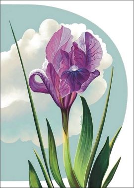 Листівка вітальна «Півник» Листівка вітальна «Півник»