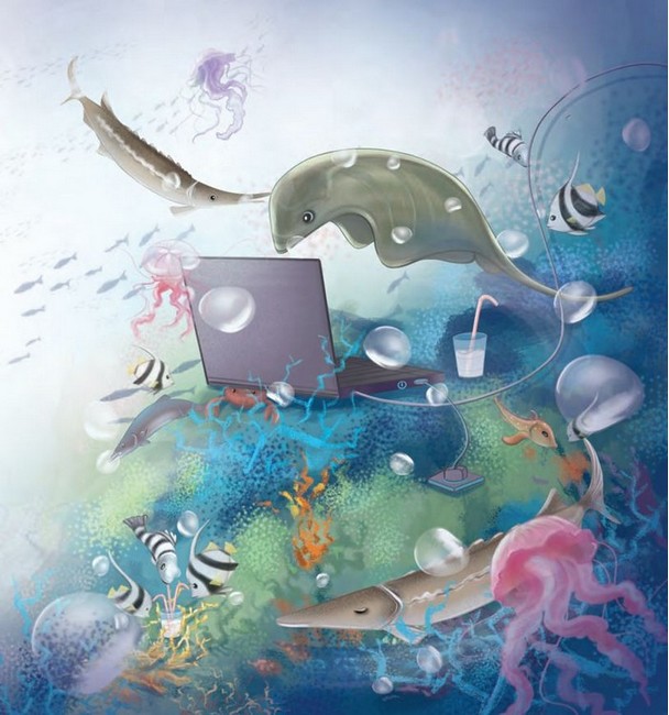 Гармидер у Чорному морі Авт: Анатолій Дністровий Вид-во: Богдан - фото 7