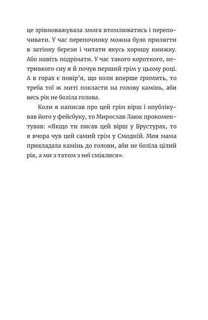 Ще літо, але вже все зрозуміло Авт: Василь Карпюк Вид-во: Брустури - фото 4