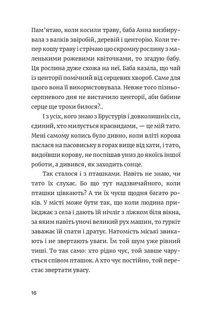Ще літо, але вже все зрозуміло Авт: Василь Карпюк Вид-во: Брустури - фото 9