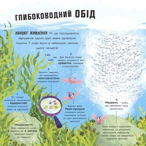 Акули люблять науку Авт: Адам Фрост Майк Бірн Вид-во: Ранок - фото 6